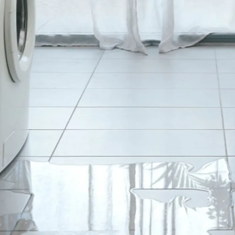 Appliance Leak Cleanup in Sterling Heights, MI
