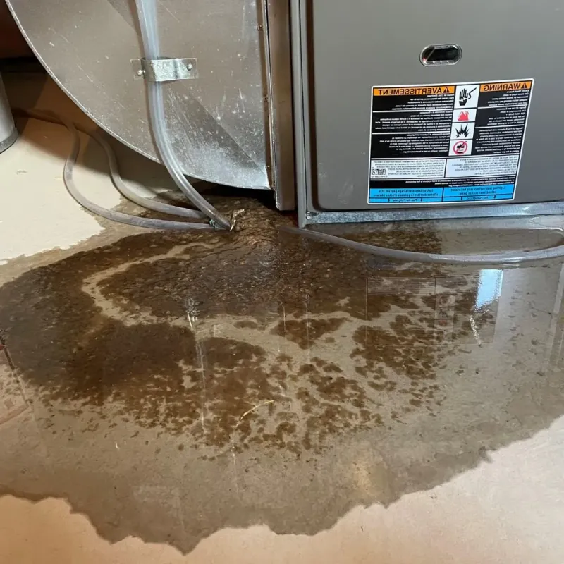 Pipe Burst and Leak Restoration in Sterling Heights, MI